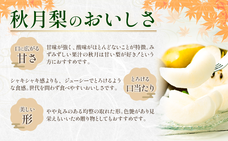 梨 秀品 秋月梨 約1.8kg（4〜7玉） あきづき 日本フルーツ《9月上旬-9月末頃出荷》熊本県 長洲町 なし 梨 果物 フルーツ デザート ギフト ご贈答