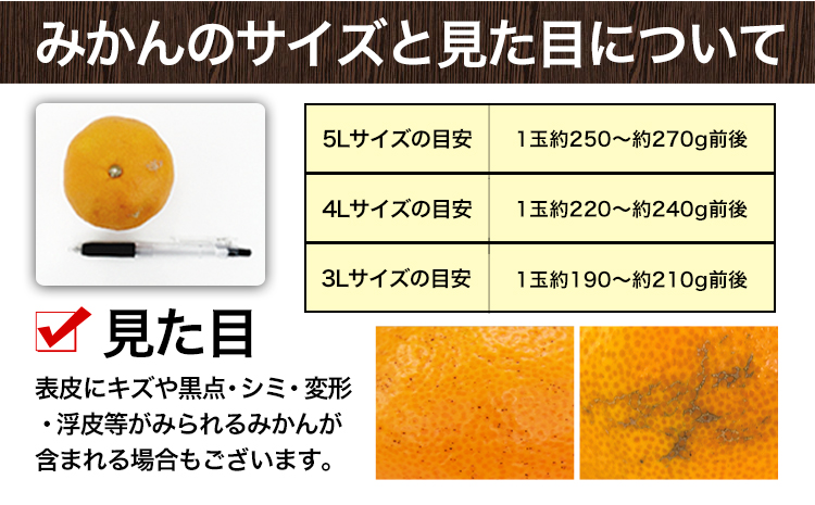 ご家庭用 熊本 大粒みかん 約5kg (3L～5Lサイズ)大玉 みかん 先行予約 熊本 ちょっと 訳あり 傷 たっぷり 熊本県産 熊本県 期間限定 フルーツ 旬 柑橘 長洲町 大粒みかん《2025年1月中旬-2月末頃より出荷予定》