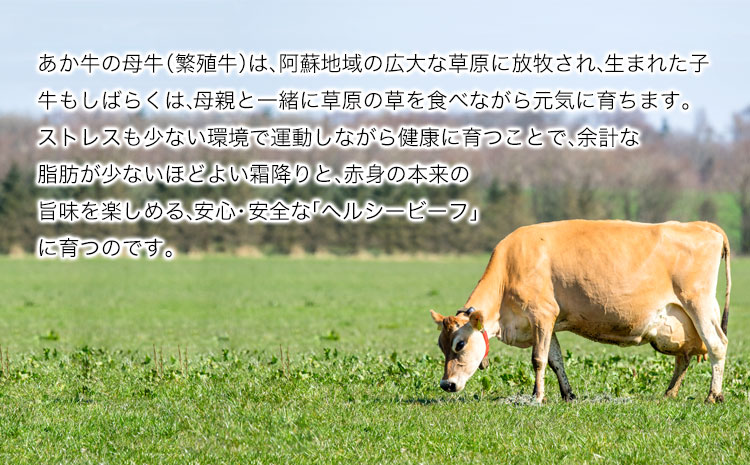 肥後のあか牛 すき焼き用 1000g 長洲501 熊本 特産 あか牛《30日以内に出荷予定(土日祝除く)》