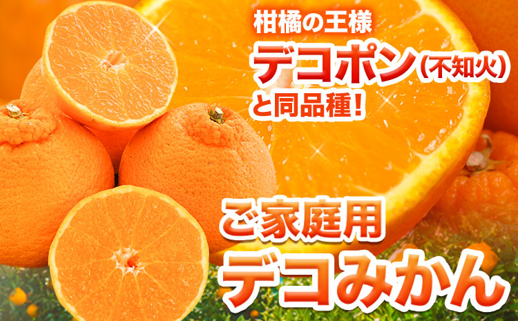 ãå®¶åºçš ãã³ã¿ãã çŽ2.5kg 6ïœ12çååŸã1-5æ¥ä»¥å
ã«åºè·äºå®(忥ç¥é€ã)ããã³ãã³ïŒäžç¥ç«ïŒãšååçš® çæ¬çç£ çæ¬ç é·æŽ²çº èš³ãã