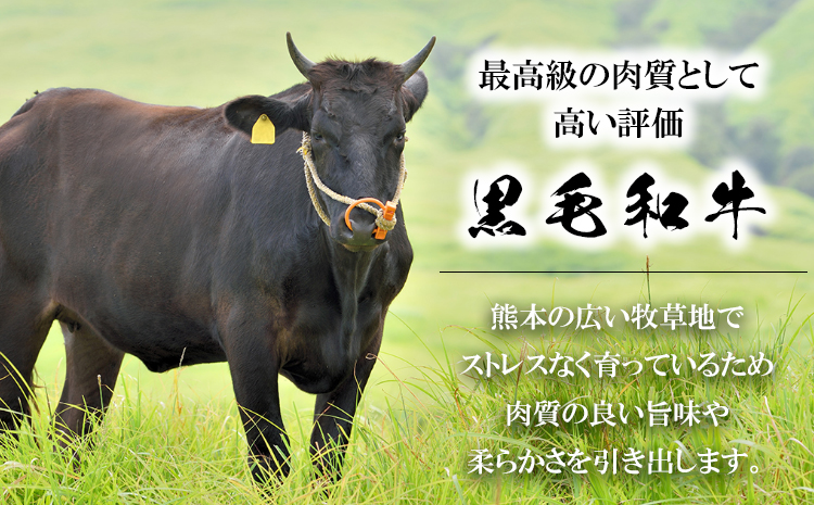 くまもと黒毛和牛 すき焼き肉 ロース切り落とし500g 《60日以内に出荷予定(土日祝除く)》 熊本県 長洲町 くまもと黒毛和牛 黒毛和牛 牛肉 肉 すき焼き 株式会社 羽根(出荷元：株式会社酒湊) 切落し