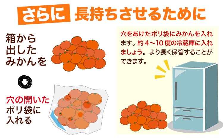 ご家庭用 熊本 大粒みかん 約2.5kg (3L～5Lサイズ)大玉 みかん 先行予約 熊本 ちょっと 訳あり 傷 たっぷり 熊本県産 熊本県 期間限定 フルーツ 旬 柑橘 長洲町 大粒みかん《2025年1月中旬-2月末頃より出荷予定》