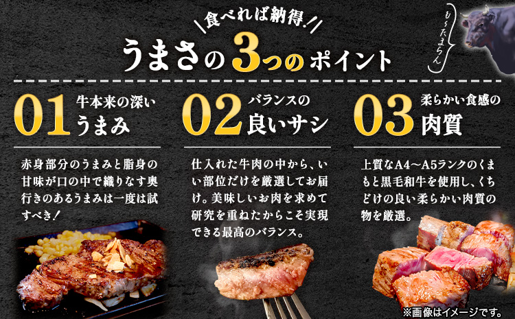 【A4〜A5】くまもと黒毛和牛 サーロインステーキ 500g《30日以内に出荷予定(土日祝除く)》 牛肉 くまもと黒毛和牛 黒毛和牛 冷凍庫 サーロイン ステーキst-p