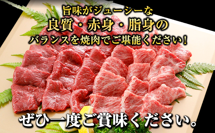 牛肉 くまもと黒毛和牛 焼肉用 1000g 肉 黒毛和牛 焼肉 長洲501《30日以内に出荷予定(土日祝除く)》