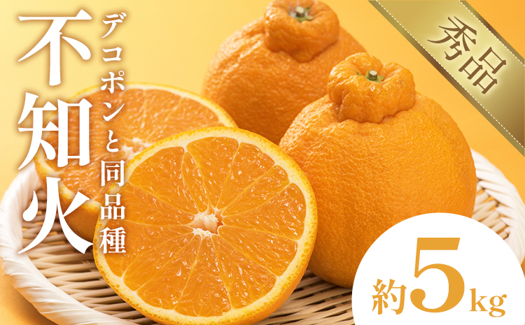 不知火（デコポン同品種） 約5kg 日本フルーツ株式会社 熊本県 長洲町 《2026年1月下旬-2月末頃出荷予定》 デコポン 果物 秀品 フルーツ スイーツ デザート ギフト ご贈答