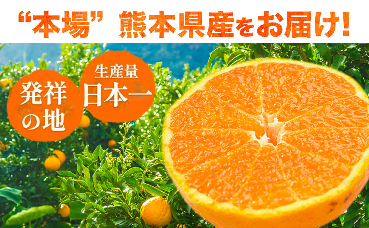 ãå®¶åºçš ãã³ã¿ãã çŽ2.5kg 6ïœ12çååŸã1-5æ¥ä»¥å
ã«åºè·äºå®(忥ç¥é€ã)ããã³ãã³ïŒäžç¥ç«ïŒãšååçš® çæ¬çç£ çæ¬ç é·æŽ²çº èš³ãã