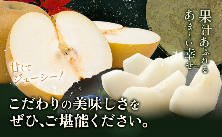 梨 秀品 秋月梨 約10kg（10〜24玉） あきづき 日本フルーツ《9月上旬-9月末頃出荷》熊本県 長洲町 なし 梨 果物 フルーツ デザート ギフト ご贈答