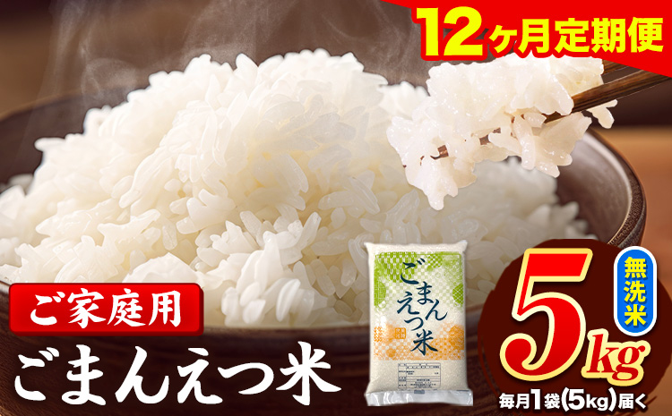 【12ヶ月定期便】訳あり 米 無洗米 ごまんえつ米 5kg 5kg×1袋 米 こめ 定期便 家庭用 備蓄 熊本県 長洲町 くまもと ブレンド米 熊本県産 訳あり 常温 配送 《お申込み翌月から出荷》