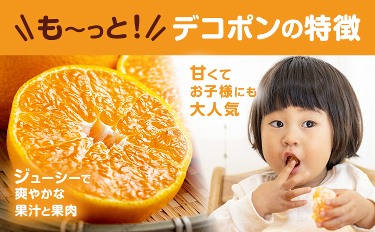 デコポン 約2kg 日本フルーツ株式会社 熊本県 長洲町 《2026年1月下旬-2月末頃出荷予定》 熊本県 長洲町 送料無料 デコポン 果物 秀品