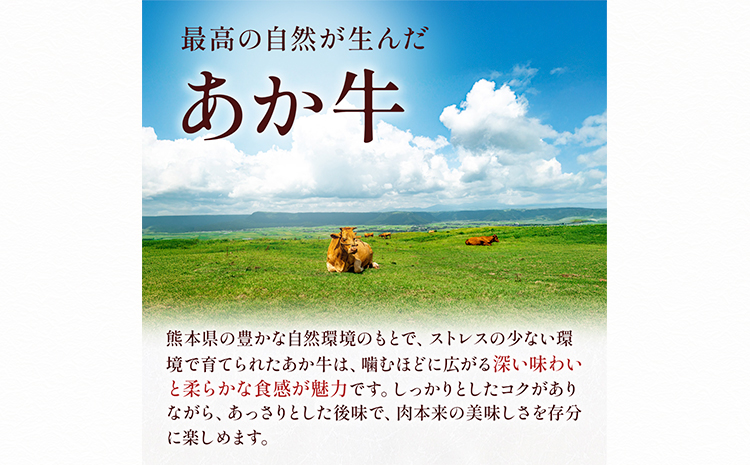 熊本県産 GI認証取得 くまもとあか牛 焼き肉用 切り落とし 600g 300g×2パック くまふる《45日以内に出荷予定(土日祝除く)》熊本県 長洲町 肉 牛肉 あか牛 赤牛 焼肉 切り落とし 熊本県産 国産