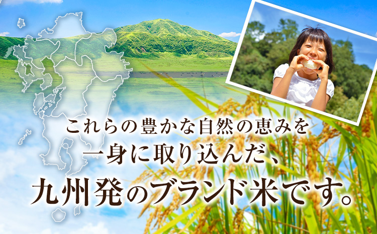 米 無洗米 令和7年産 特A受賞品種 ひのひかり 森のくまさん 米 送料無料 20kg 食べ比べ ヒノヒカリ 厳選 熊本県産(長洲町産含む) 米 お米《7-14日以内に出荷予定(土日祝除く)》長洲町