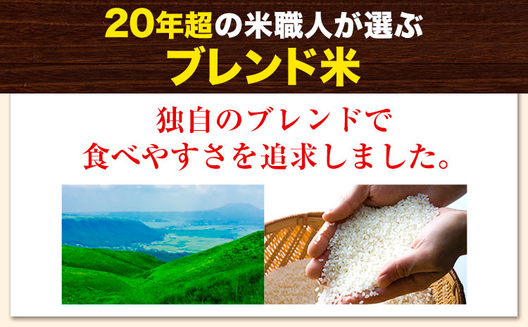 【12ヶ月定期便】訳あり 米 無洗米 ごまんえつ米 10kg 5kg×2袋 米 こめ 定期便 家庭用 備蓄 熊本県 長洲町 くまもと ブレンド米 熊本県産 訳あり 常温 配送 《お申込み翌月から出荷》