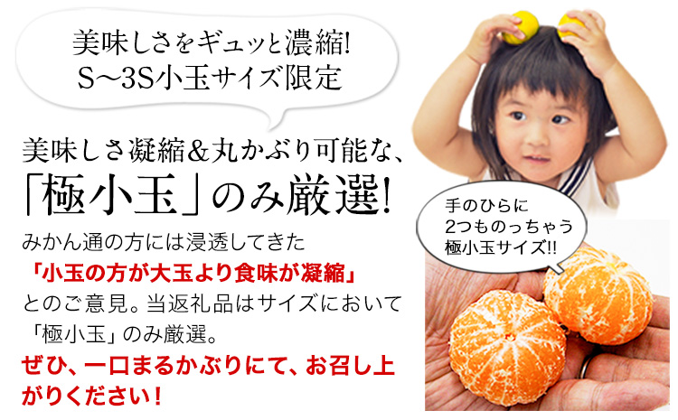 èš³ãã ã¿ãã ããŸããšå°çã¿ãã çŽ 5kg (2.5kgÃ2ç®±) èæ ææ© ã9æäžæ¬-12æäžæ¬é åºè·ã ãå®¶åºçš å°ç ãã£ã·ã çæ¬çç£ S-3Sãµã€ãº æééå® ãã«ãŒã 5000 g æ¬ ææ© 鷿޲çº