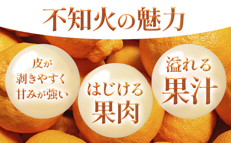 不知火（デコポン同品種） 約5kg 日本フルーツ株式会社 熊本県 長洲町 《2026年1月下旬-2月末頃出荷予定》 デコポン 果物 秀品 フルーツ スイーツ デザート ギフト ご贈答