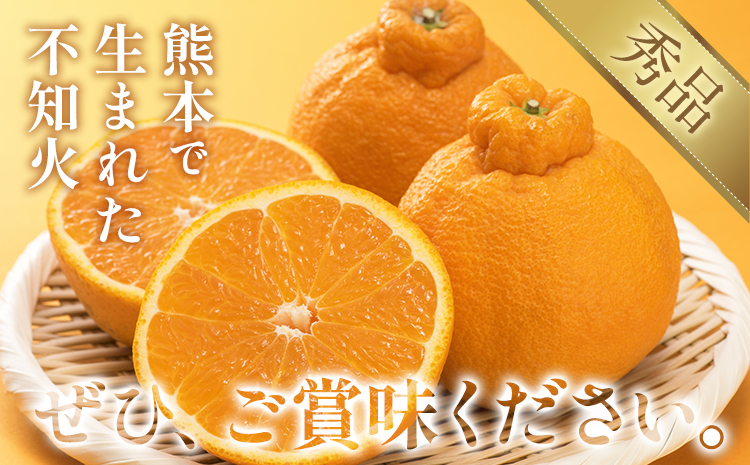 不知火（デコポン同品種） 約5kg 日本フルーツ株式会社 熊本県 長洲町 《2026年1月下旬-2月末頃出荷予定》 デコポン 果物 秀品 フルーツ スイーツ デザート ギフト ご贈答