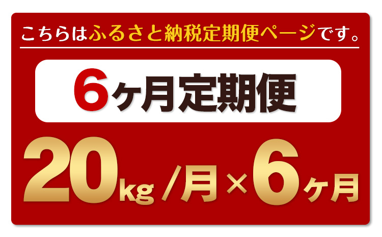 令和6年産 ひのひかり 【6ヶ月定期便】 無洗米  20kg (5kg×4袋) 計6回お届け 《お申し込み月の翌月から出荷開始》 熊本県産 精米 ひの 米 こめ お米 熊本県 長洲町