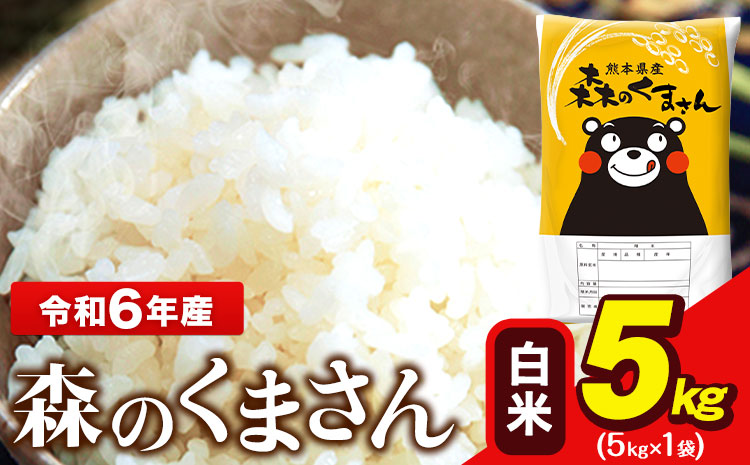 令和6年産 森のくまさん 5kg × 1袋  白米 熊本県産 単一原料米 森くま《1月中旬-1月末頃出荷予定》送料無料