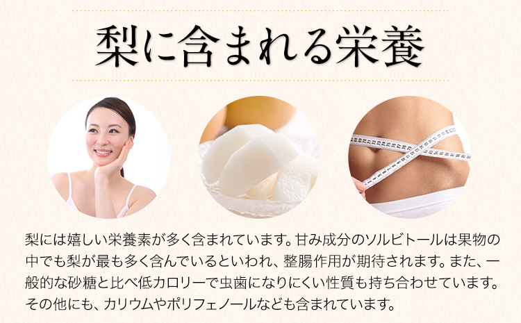 ＜2026年先行予約＞ 梨 くまもと梨 秋 旬 なし 幸水 豊水 先行 果物 くだもの フルーツ 送料無料 あきづき 甘太 新高 新興 約4.5～5kg(8玉～22玉前後) 熊本県産【着日指定不可】《8月下旬-11月中旬頃出荷》旬 果物 お取り寄せ ナシ