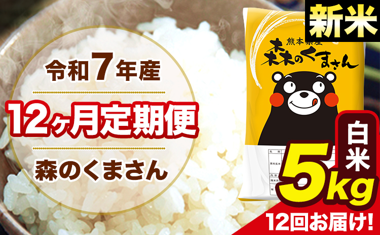 新米 米 令和7年産 森のくまさん 【12ヶ月定期便】白米 5kg 5kg×1袋 計12回お届け 《お申込み翌月から出荷》 お米 こめ 熊本県産 ご飯 備蓄