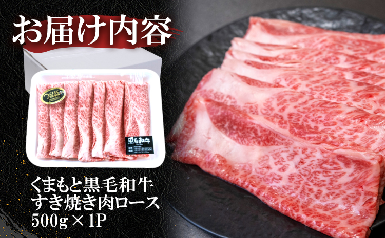 くまもと黒毛和牛 すき焼き肉 ロース切り落とし500g 《60日以内に出荷予定(土日祝除く)》 熊本県 長洲町 くまもと黒毛和牛 黒毛和牛 牛肉 肉 すき焼き 株式会社 羽根(出荷元：株式会社酒湊) 切落し