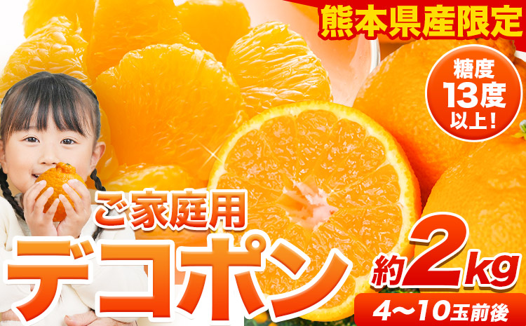 ご家庭用 デコポン 約2kg 前後 (約4-10玉前後)《2027年4月上旬-5月上旬頃出荷》訳あり みかん フルーツ 柑橘 不知火 熊本県産 熊本県 長洲町 糖度13度以上