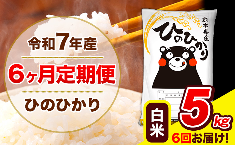 令和7年産 ひのひかり 【6ヶ月定期便】 白米  5kg (5kg×1袋) 計6回お届け 《お申込み翌月から出荷》 熊本県産 白米 精米 ひの 米 こめ お米 熊本県 長洲町