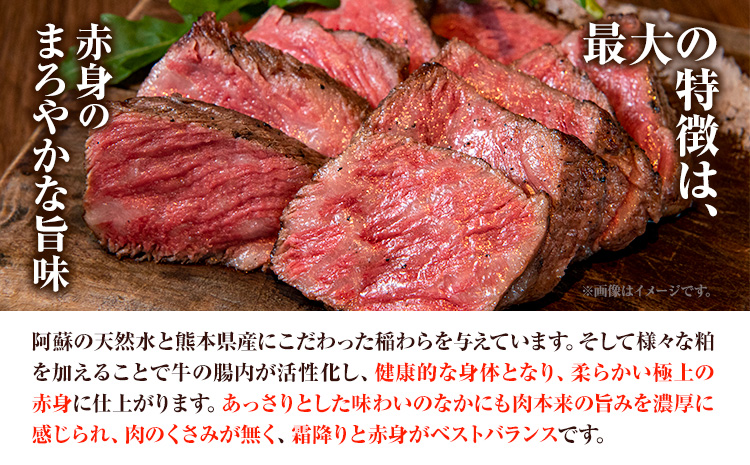 【6ヶ月定期便】熊本あか牛 あか牛 ステーキ 食べ比べ 定期便6回（6ヶ月） 《お申込み月の翌月から出荷開始》有限会社 三協畜産 サーロイン ミスジ ランプ イチボ 三角バラ ヒレ リブロース あか牛のたれ付き