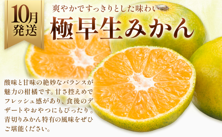 旬の フルーツ 定期便 2ヶ月連続 秀品 計5kg 日本フルーツ株式会社《2026年9月上旬-10月末頃出荷》熊本県 長洲町 おまかせ 梨 極早生みかん 果物 フルーツ スイーツ デザート ギフト ご贈答