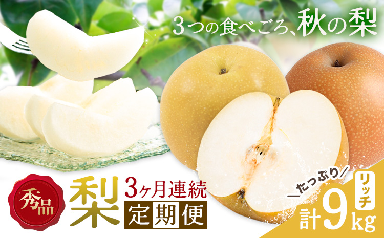 【3ヶ月定期便】梨 定期便 秀品 3ヶ月連続 梨の定期便 リッチ 計9kg 日本フルーツ株式会社《8月上旬-10月末頃出荷》熊本県 長洲町 なし ナシ 豊水梨 秋月梨 新高梨 果物 フルーツ