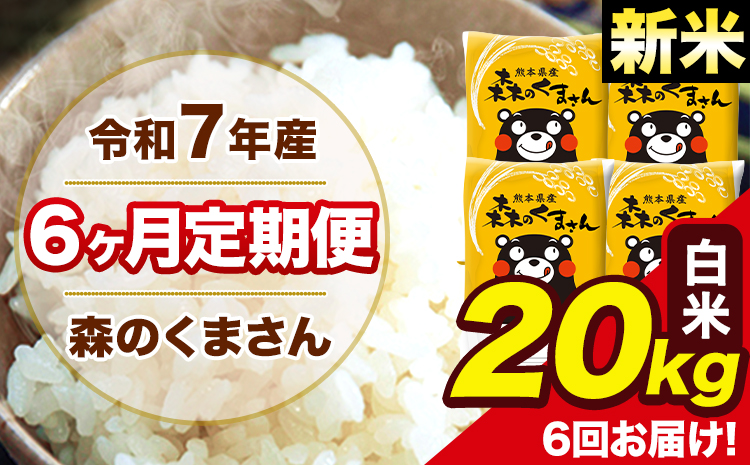 新米 米 令和7年産 森のくまさん 【6ヶ月定期便】白米 20kg 5kg×4袋 計6回お届け 《お申込み翌月から出荷》 お米 こめ 熊本県産 ご飯 備蓄