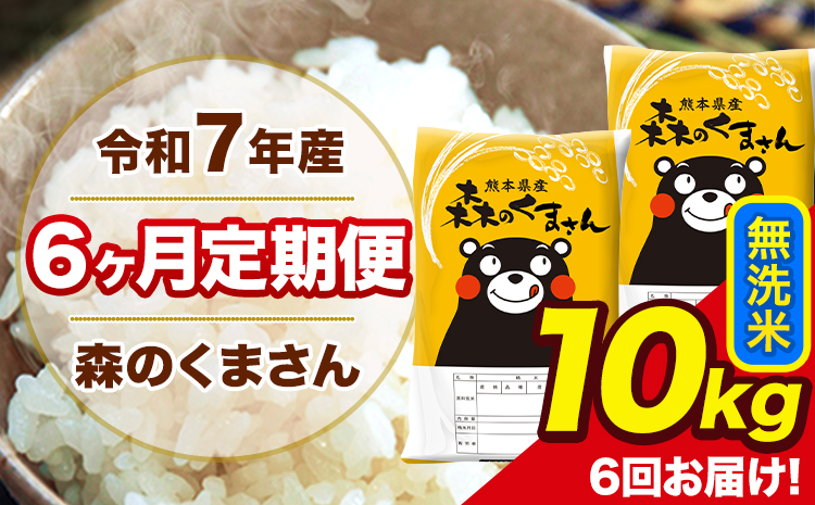 令和7年産 森のくまさん【6ヶ月定期便】 無洗米 10kg 5kg×2袋 計6回お届け 《お申込み翌月から出荷》 お米 こめ 熊本県産 ご飯 備蓄
