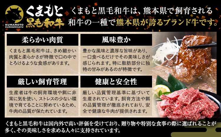 牛肉 A4～A5等級 黒毛和牛 切り落とし くまもと黒毛和牛 上 ロース 焼肉切り落とし 300g 《30日以内に出荷予定(土日祝除く)》熊本県 長洲町 上ロース 焼肉用 焼肉 肉 お肉 和牛 A5 A4 300g 小分け リブロース サーロイン