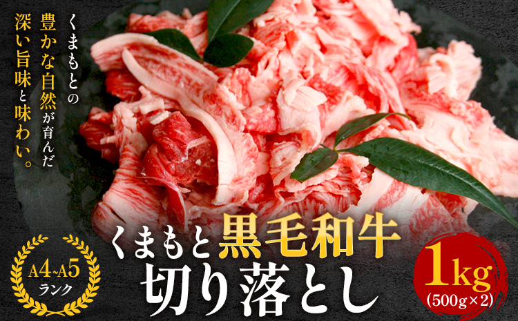 【ふるさと納税】 【A4～A5】くまもと黒毛和牛 切り落とし 1kg 《30日以内に出荷予定(土日祝除く)》 牛肉 くまもと黒毛和牛 黒毛和牛 冷凍庫 切り落とし