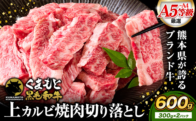 牛肉 A4～A5等級 黒毛和牛 切り落とし くまもと黒毛和牛 上 カルビ 焼肉切り落とし 600g 《60日以内に出荷予定(土日祝除く)》熊本県 長洲町 上カルビ 焼肉用 焼肉 肉 お肉 和牛 A5 A4 300g 小分け