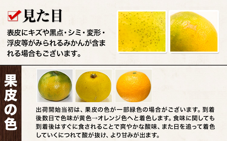 訳あり みかん 小玉みかん くまもと小玉みかん 2.5kg (2.5kg×1箱) 秋 旬 不揃い 傷 ご家庭用 SDGs 小玉 たっぷり 熊本県 産 S-3Sサイズ フルーツ 旬 柑橘 長洲町 温州みかん《10月下旬-11月中旬頃出荷》