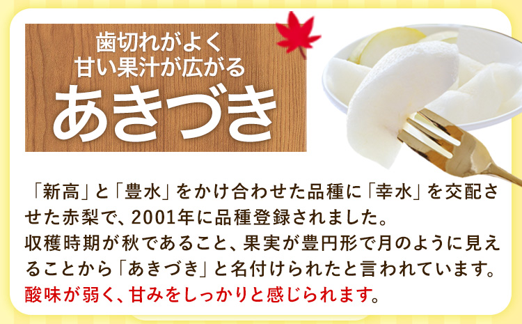 梨 完熟梨 ( あきづき 新高梨 新興梨 のいずれか) 約 5kg (8〜18玉) フルーツ 果物 旬 大渕観光梨園 熊本県長洲町産 《9月上旬-12月中旬頃出荷》フルーツ 梨 なし