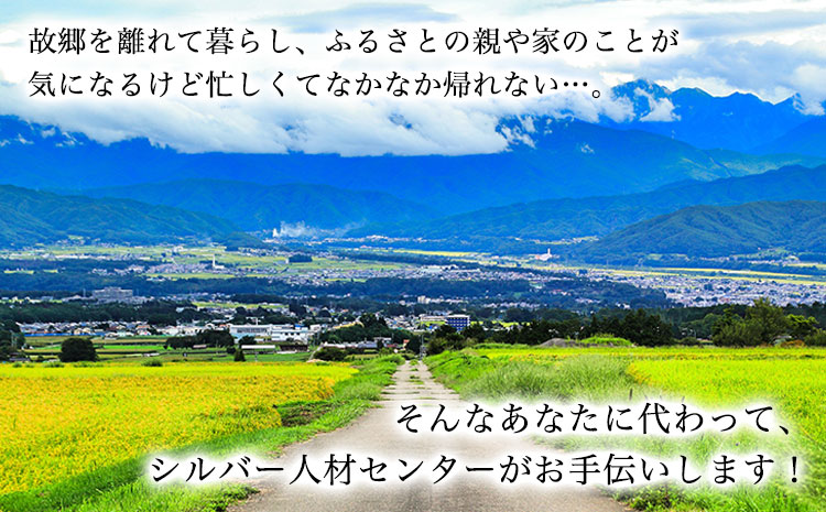 熊本県 長洲町ふるさと親孝行代行サービスC