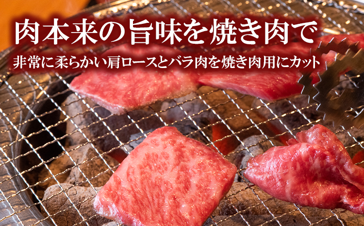 くまもと黒毛和牛 焼肉用ロース・カルビ 500g 《60日以内に出荷予定(土日祝除く)》 熊本県 長洲町 くまもと黒毛和牛 黒毛和牛 牛肉 肉 焼き肉 株式会社 羽根(出荷元：株式会社酒湊)