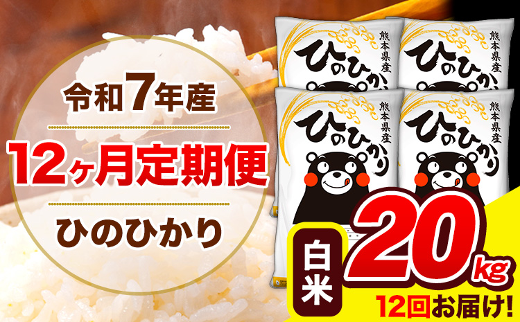 莉、蜥7蟷エ逕」 縺イ縺ョ縺イ縺九j 縲12繝カ譛亥ョ壽悄萓ソ縲 逋ス邀ウ 20kg (5kgテ4陲) 險12蝗槭♀螻翫¢ 縲翫♀逕ウ霎シ縺ソ鄙梧怦縺九i蜃コ闕キ縲 辭頑悽逵檎肇 逋ス邀ウ 邊セ邀ウ 縺イ縺ョ 邀ウ 縺薙a 縺顔アウ 辭頑悽逵 髟キ豢イ逕コ