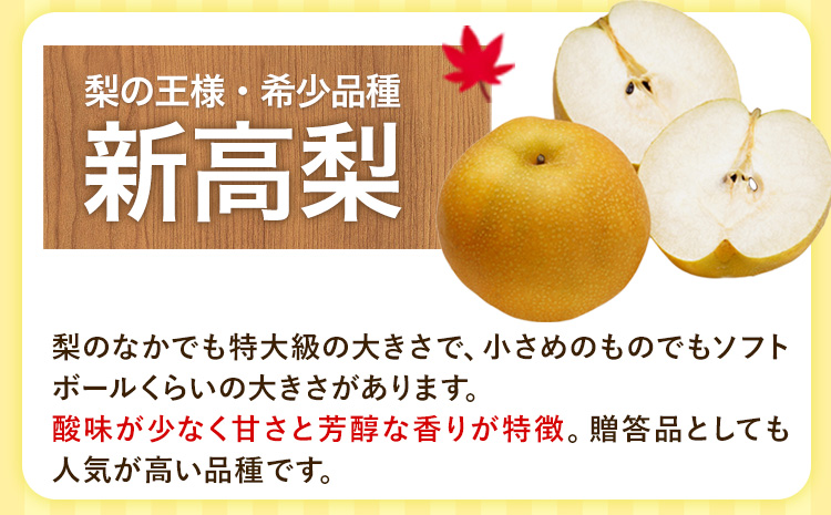 梨 完熟梨 ( あきづき 新高梨 新興梨 のいずれか) 約 5kg (8〜18玉) フルーツ 果物 旬 大渕観光梨園 熊本県長洲町産 《9月上旬-12月中旬頃出荷》フルーツ 梨 なし