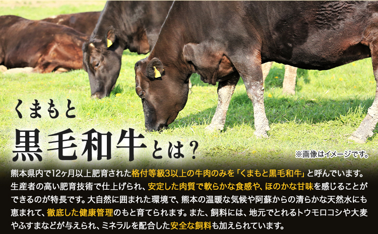 【ふるさと納税】 【A4～A5】くまもと黒毛和牛 切り落とし 1kg 《30日以内に出荷予定(土日祝除く)》 牛肉 くまもと黒毛和牛 黒毛和牛 冷凍庫 切り落とし