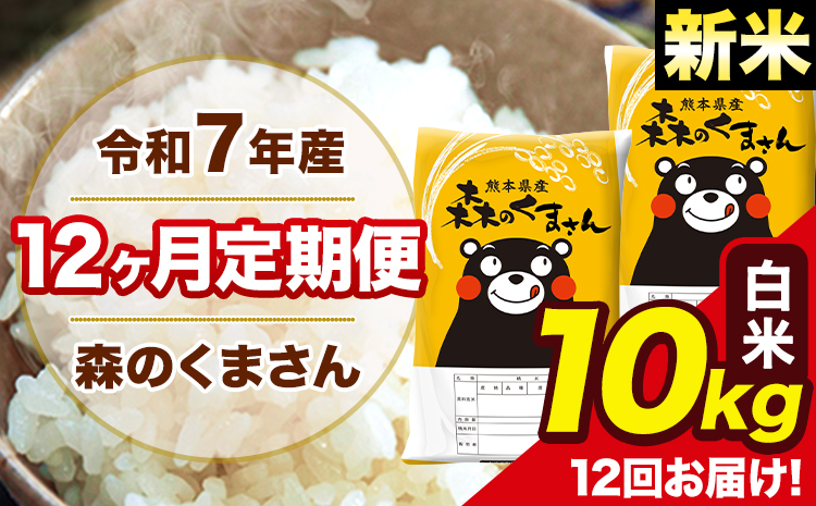 新米 米 令和7年産 森のくまさん 【12ヶ月定期便】白米 10kg 5kg×2袋 計12回お届け 《お申込み翌月から出荷》 お米 こめ 熊本県産 ご飯 備蓄