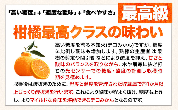 ご家庭用 デコみかん 約5kg 12〜24玉前後《2025年2月上旬-4月末頃出荷》デコポン（不知火）と同品種 熊本県産 熊本県 長洲町 訳あり