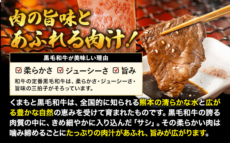 牛肉 くまもと黒毛和牛 サーロイン リブロース 内モモ 希少部位 500g 牛肉 焼肉用 冷凍 《30日以内に出荷予定(土日祝除く)》 くまもと黒毛和牛 黒毛和牛 焼肉 肉 お肉 熊本県 長洲町