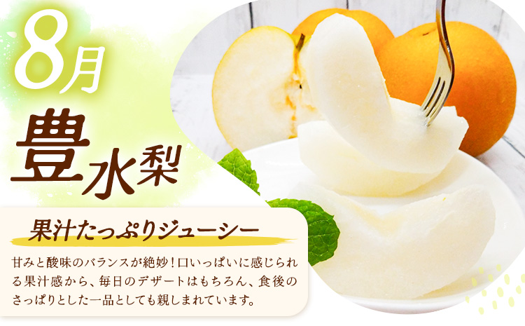 【3ヶ月定期便】梨 定期便 秀品 3ヶ月連続 梨の定期便 スペシャル 計15kg 日本フルーツ株式会社《8月上旬-10月末頃出荷》熊本県 長洲町 なし ナシ 豊水梨 秋月梨 新高梨 果物 フルーツ