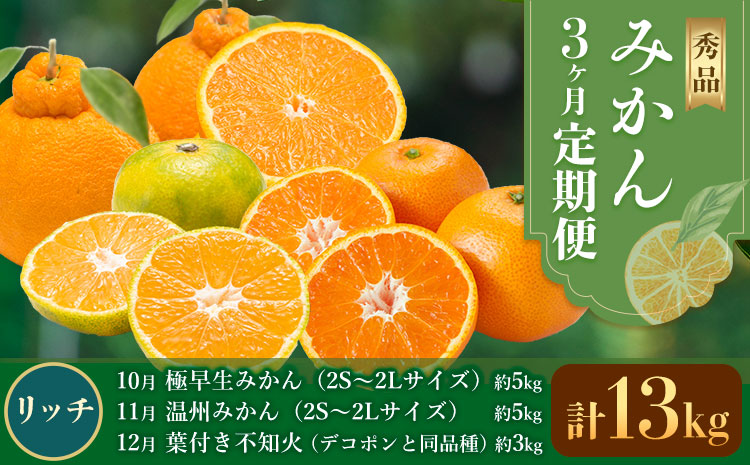 秀品 みかん 3ヶ月定期便 【リッチ：計13kg】 日本フルーツ株式会社《2026年10月上旬-12月末頃出荷》熊本県 長洲町 極早生みかん 温州みかん 葉付き 不知火 果物 フルーツ スイーツ デザート ギフト ご贈答
