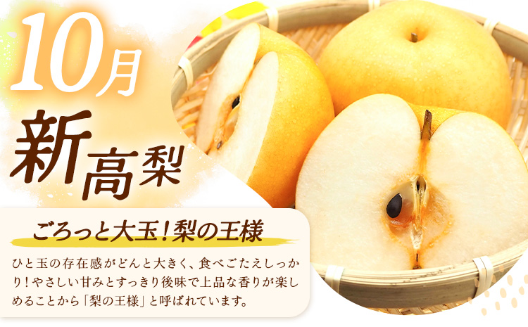 【3ヶ月定期便】梨 定期便 秀品 3ヶ月連続 梨の定期便 スペシャル 計15kg 日本フルーツ株式会社《8月上旬-10月末頃出荷》熊本県 長洲町 なし ナシ 豊水梨 秋月梨 新高梨 果物 フルーツ