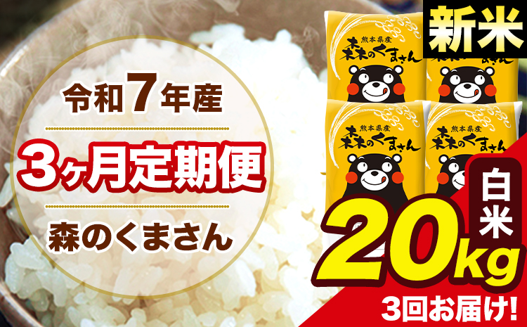 新米 米 令和7年産 森のくまさん【3ヶ月定期便】 白米 20kg 5kg×4袋 計3回お届け 《お申込み翌月から出荷》 お米 こめ 熊本県産 ご飯 備蓄