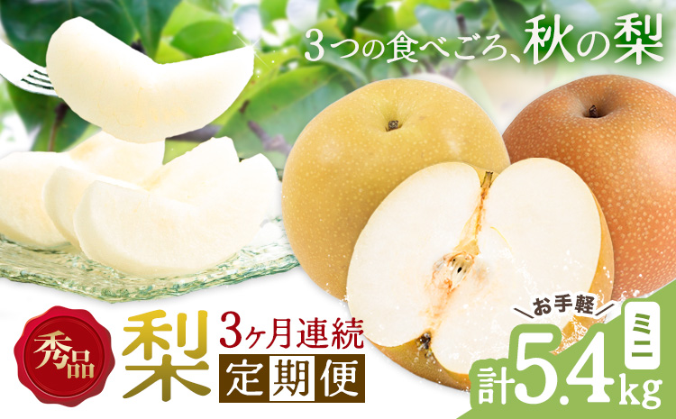 【3ヶ月定期便】梨 定期便 秀品 3ヶ月連続 梨の定期便 ミニ 計5.4kg 日本フルーツ株式会社《8月上旬-10月末頃出荷》熊本県 長洲町 なし ナシ 豊水梨 秋月梨 新高梨 果物 フルーツ