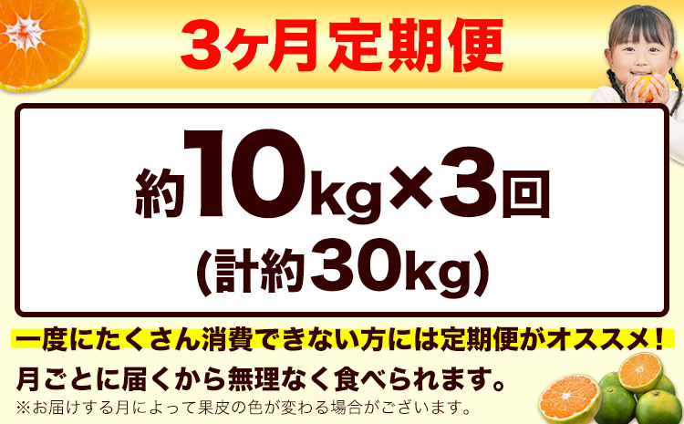 訳あり みかん 小玉みかん くまもと小玉みかん 10kg (10kg×1箱)  3ヶ月定期便 秋 旬 不揃い 傷 ご家庭用 SDGs 小玉 たっぷり 熊本県 産 S-3Sサイズ フルーツ 旬 柑橘 長洲町 温州みかん《9月頃出荷》